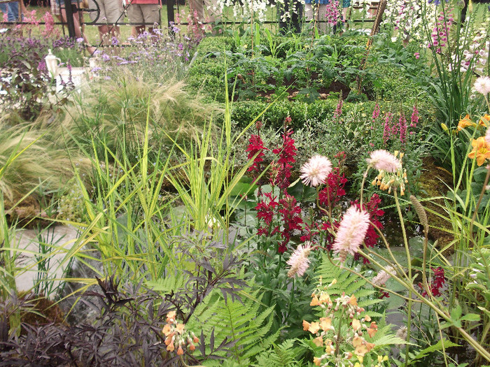 DSCF3740 - New Forest Show