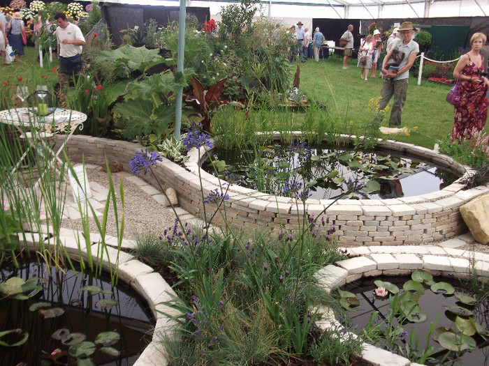 DSCF3743 - New Forest Show