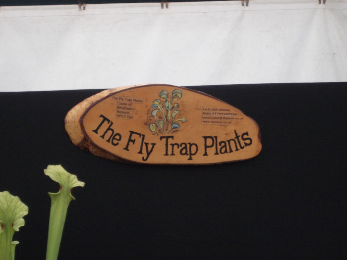 DSCF3746 - New Forest Show