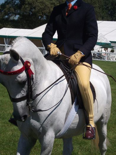 DSCF3783 - New Forest Show