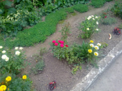 un coltisor din curte cu flori