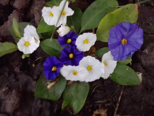 P240912_21.51_[01]