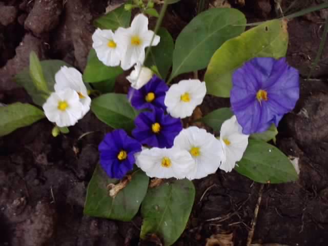 P240912_21.51_[02]