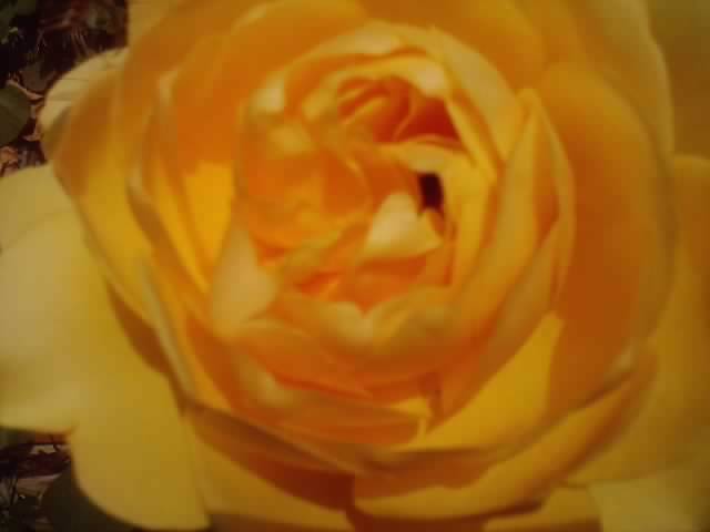 P260912_05.49_[02]