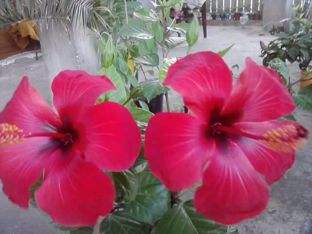 P260912_21.45_[02]