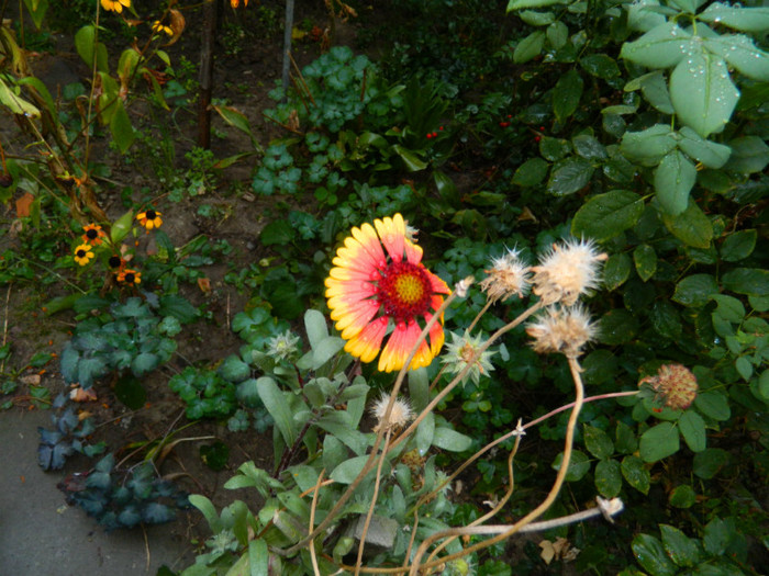 DSCN8304