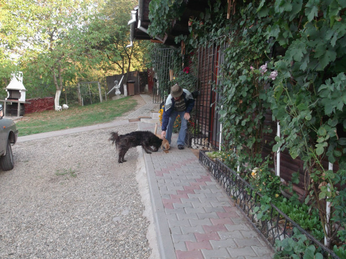 CUTU-PITU, HAI LA TATA