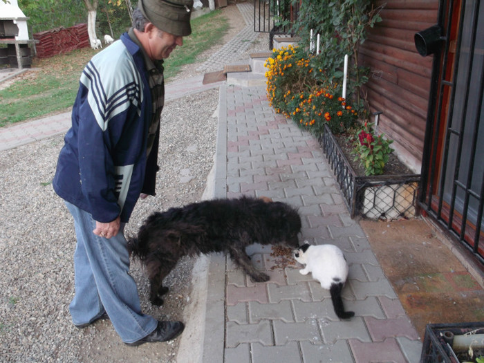 BUN PENTRU CARTEA RECORDURILOR