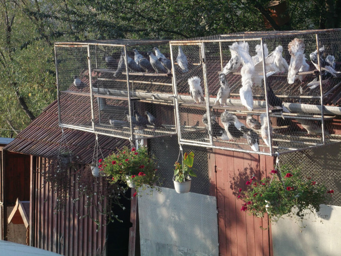 MARE-I PUTEREA DOMNULUI