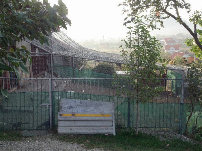 DOMENIUL FAZANILOR SI PAUNILOR - FERMA LEONTE 2012