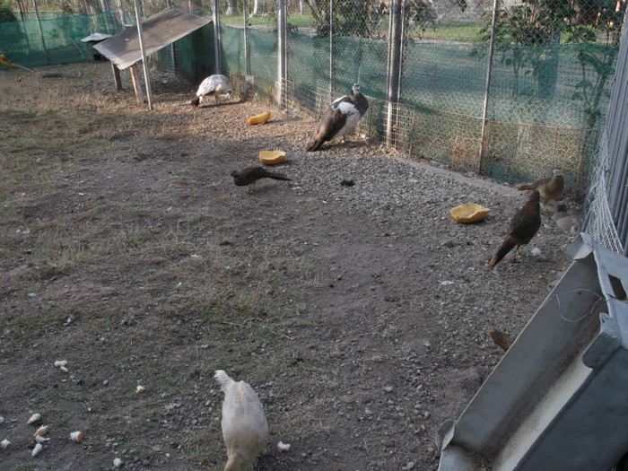 Picture 5419
