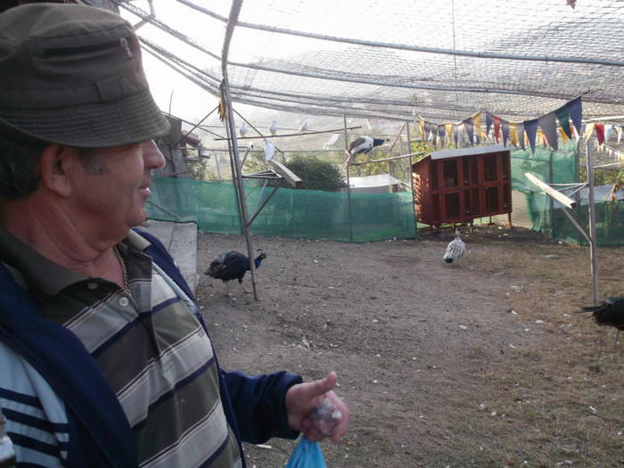 Picture 5421
