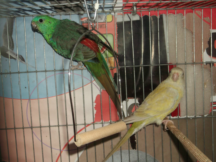 Picture 5494