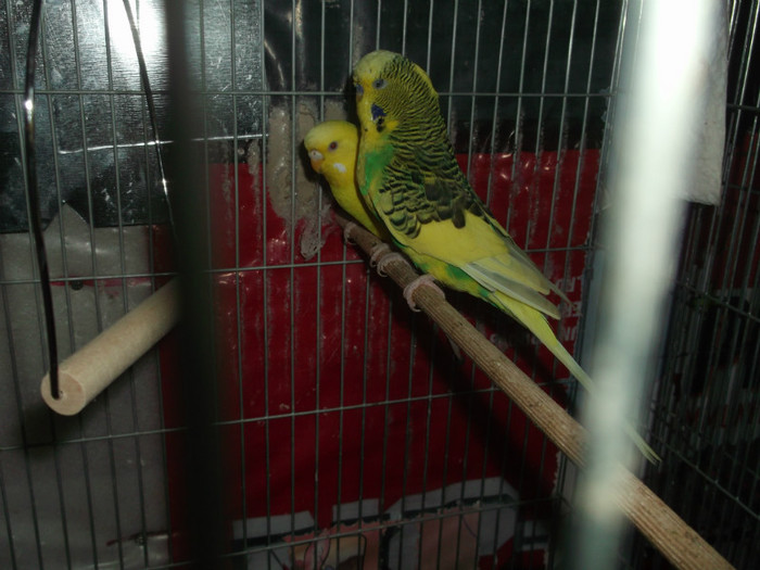 Picture 5502