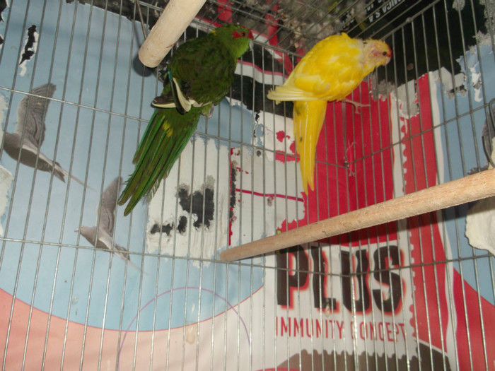 Picture 5511