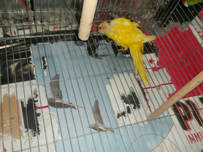 Picture 5513