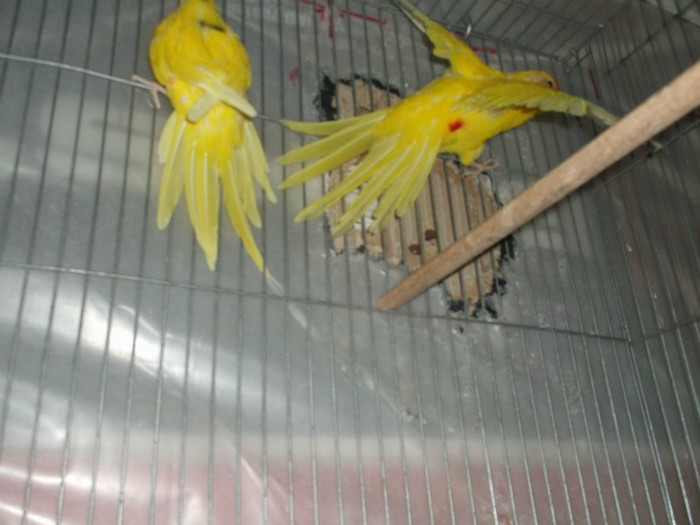 Picture 5516