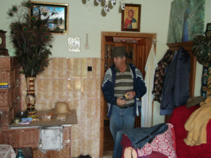 Picture 5528