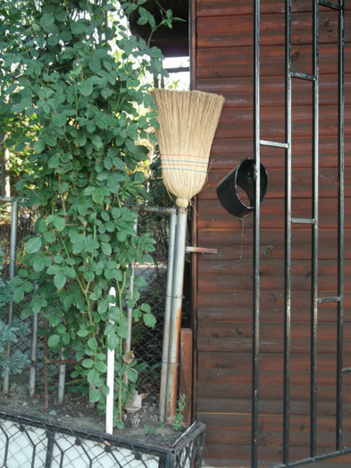 CEA MAI BUNA PAZA-MATURA-