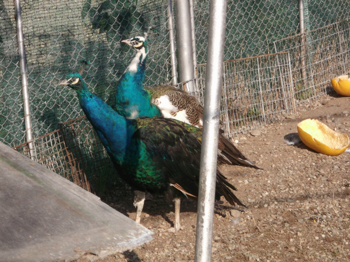 Picture 5567