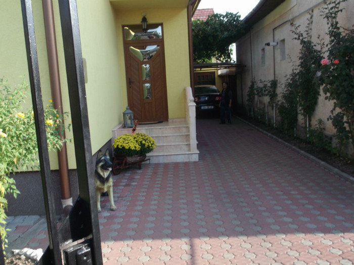 Picture 5586