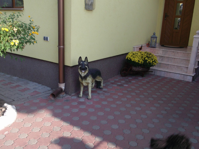 Picture 5588