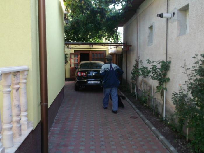 Picture 5590