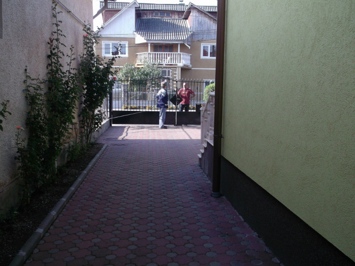 VECINUL VINDE FAZANI IEFTIN