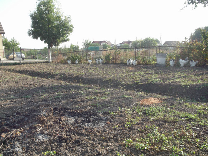 Picture 5630
