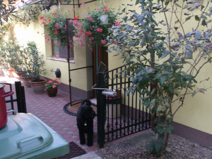 Picture 5635