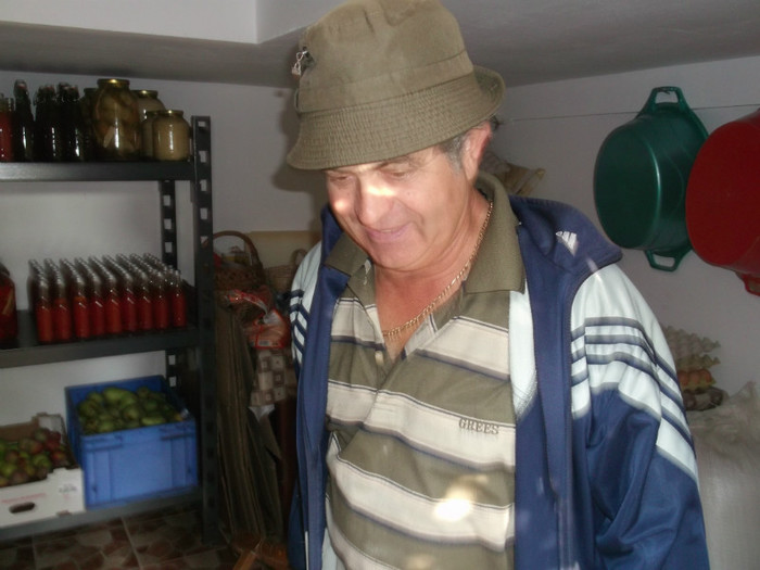 ../..PARADA STICLELOR CU SUC