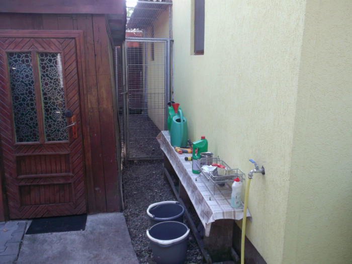 Picture 5639