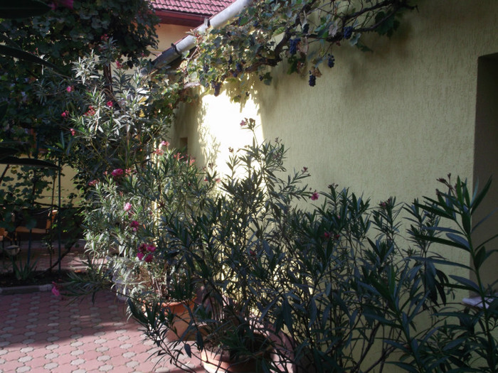Picture 5640