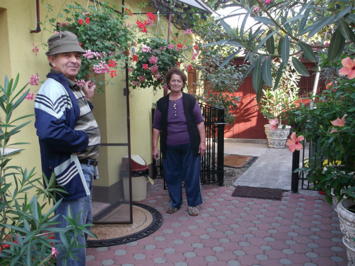 Picture 5653