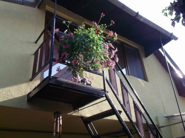SUB BALCON EU TI-AM CANTAT O SERENADA