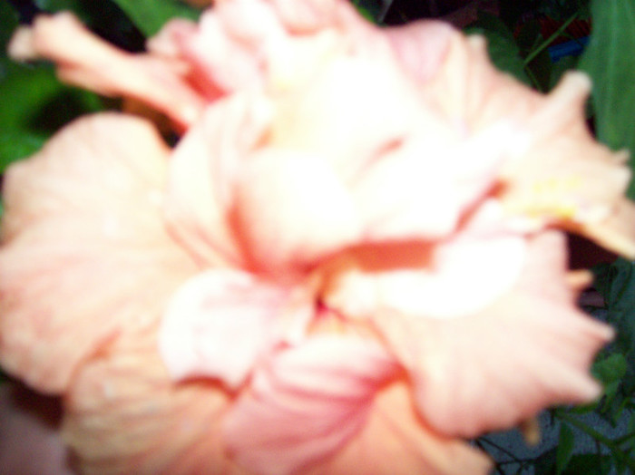100_7073