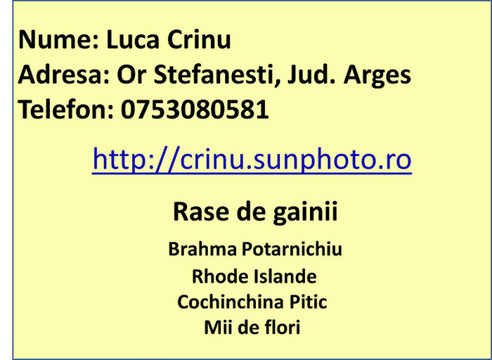 Luca Crinu - 3 Membri
