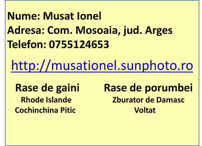 Musat Ionel - 3 Membri