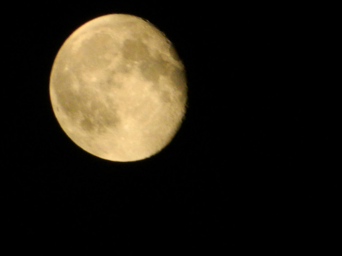DSCN8361