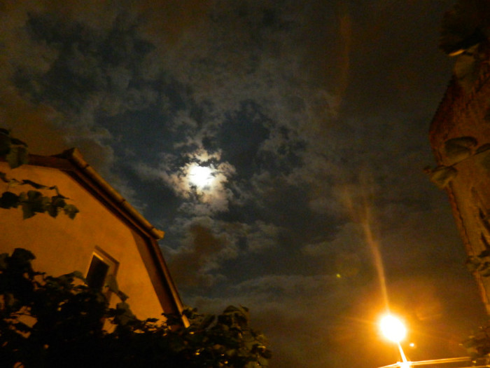 DSCN8362