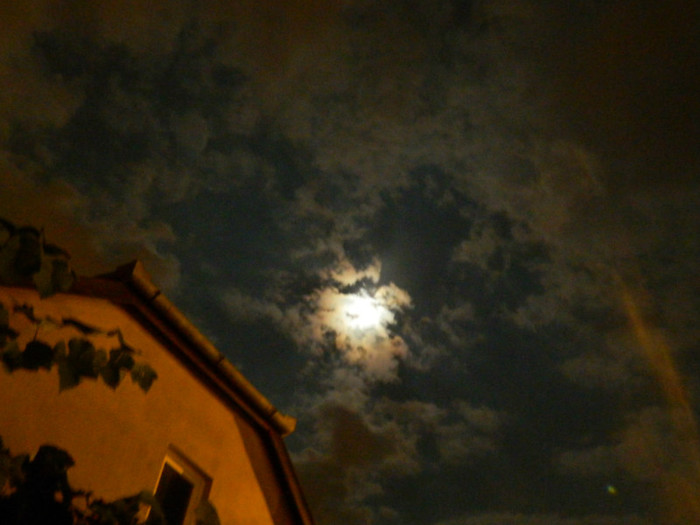 DSCN8363
