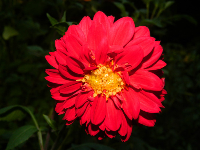 DSCN8432