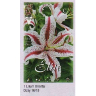 img007_03-200x200[1]