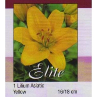 img021_05-200x200[1]