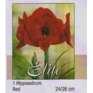 img022_16-200x200[1]