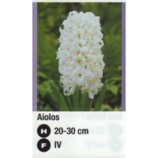 Aiolos-1-200x200[1] - 2012 ACHIZITII atlas plants