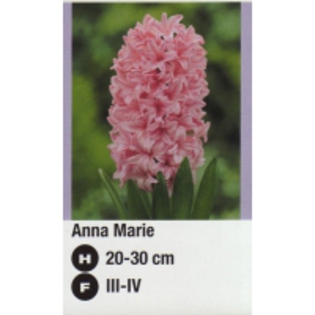 Anna%20Marie-1-200x200[1] - 2012 ACHIZITII atlas plants
