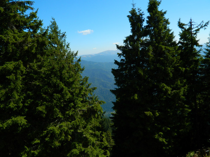 DSCN1372 - 5 VACANTA SEPTEMBRIE 2012