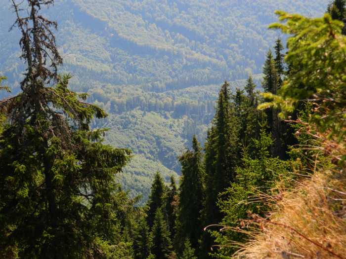 DSCN1379 - 5 VACANTA SEPTEMBRIE 2012