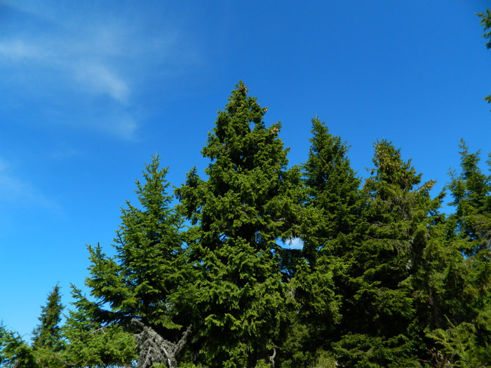 DSCN1387 - 5 VACANTA SEPTEMBRIE 2012